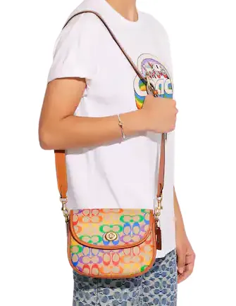 Coach Willow Saddle Bag In Rainbow Signature Canvas