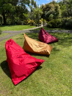 ECO-Friendly Bean Bags *NEW