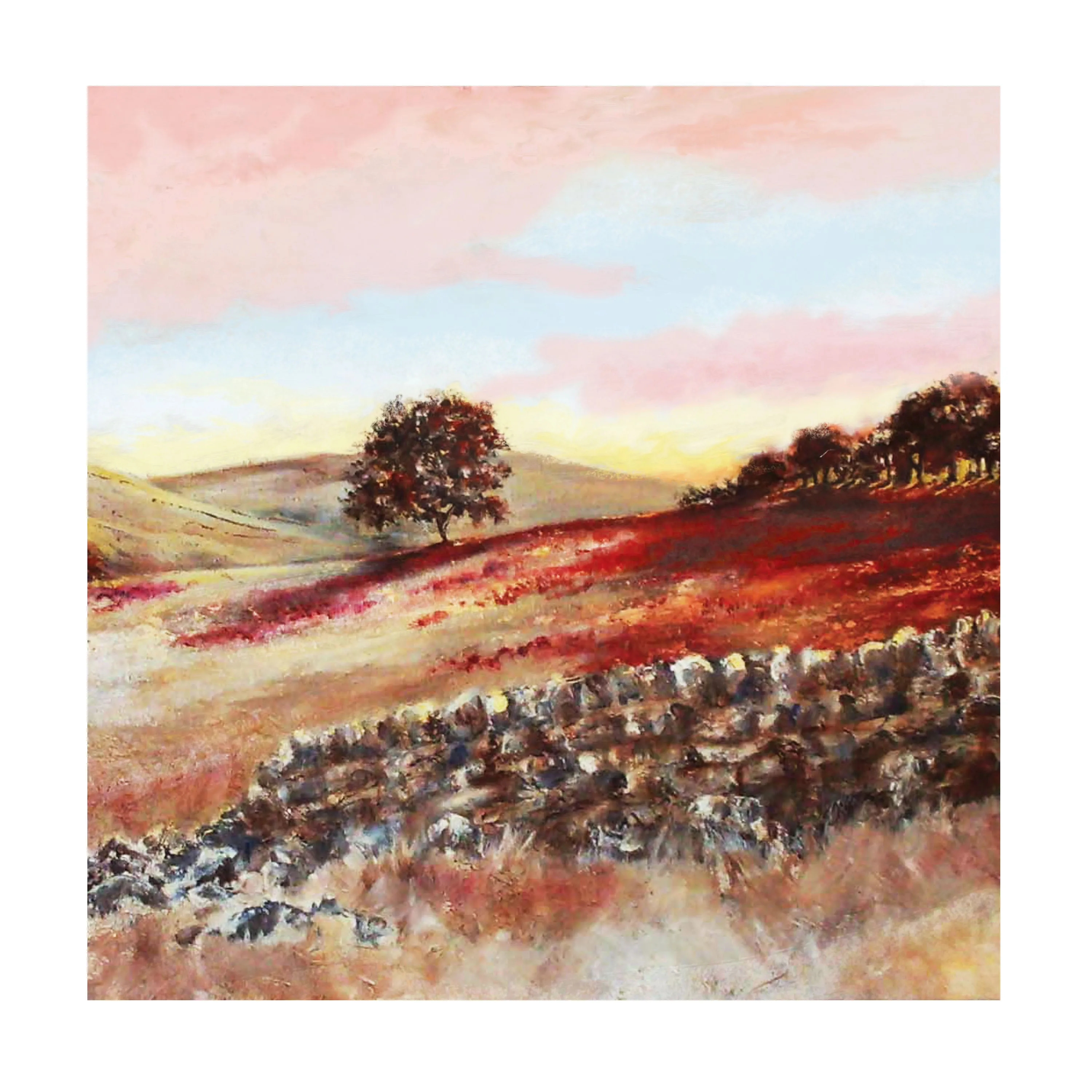 Evening Poppy Field Greetings Card