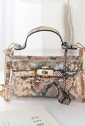 LIZZI - TRANSPARENT PYTHON BIRKIN BAG