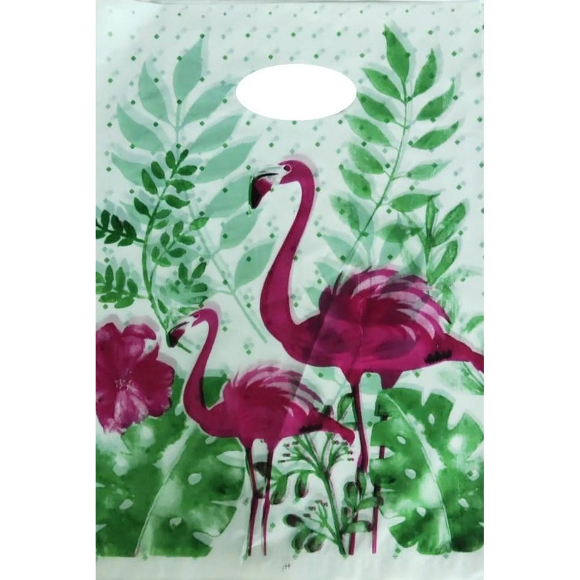 Plastic Boutique Bag Printed Medium 25x35cm 25pack