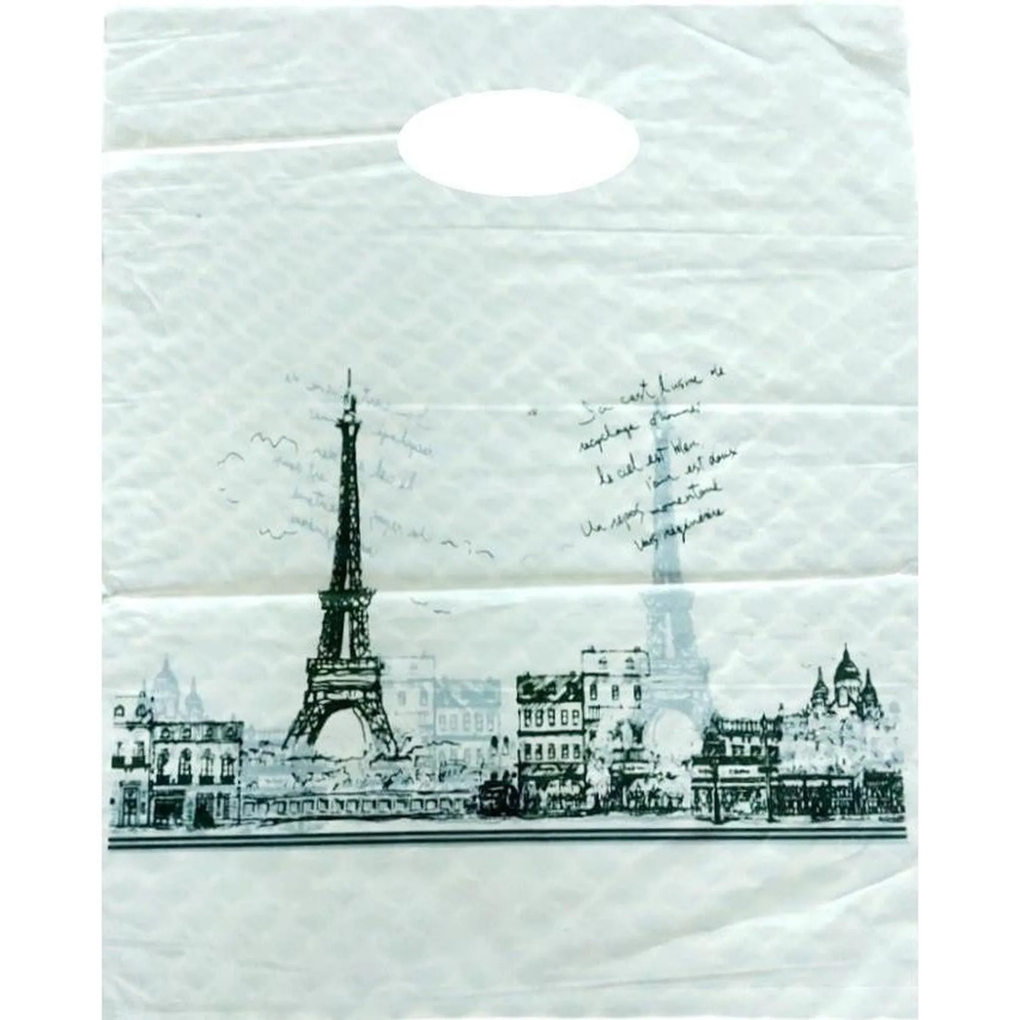 Plastic Boutique Bag Printed Medium 25x35cm 25pack